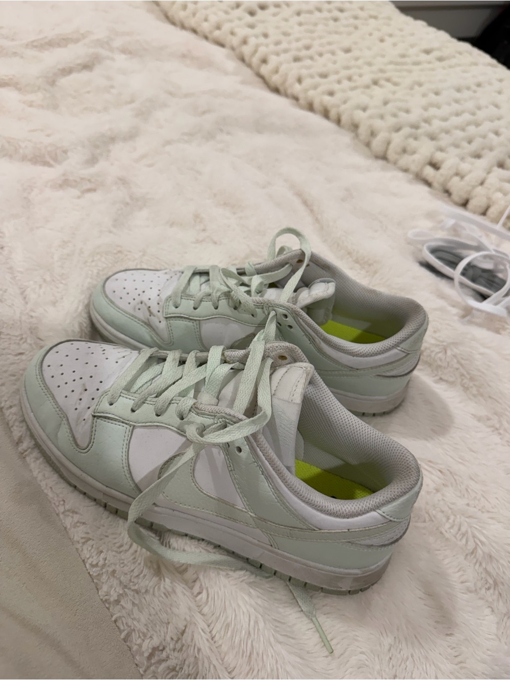 Nike Dunks Runners